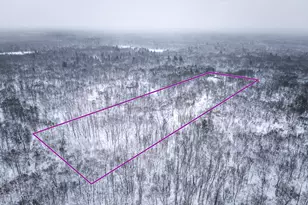 1518 E Wilke Rd, Rothbury, MI 49452 - Photo 31