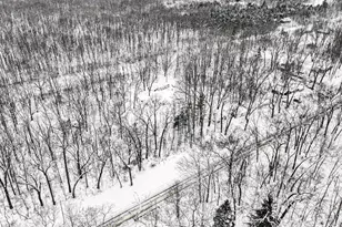 1258 56th St, Fennville, MI 49408 - Photo 29