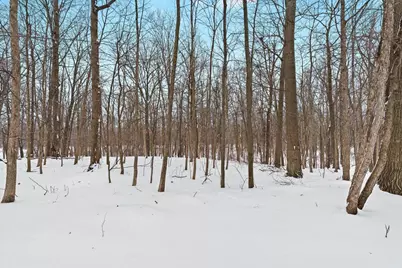 6055 Shaftsburg Road, Williamston, MI 48895 - Photo 37