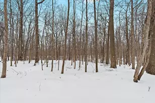 6055 Shaftsburg Rd, Williamston, MI 48895 - Photo 37