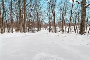 6055 Shaftsburg Rd, Williamston, MI 48895 - Photo 31