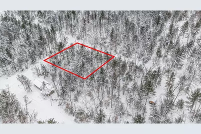 01 Bradby Blvd, Baldwin, MI 49304 - Photo 3