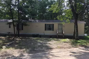 1924 E Brill Trail, White Cloud, MI 49349 - Photo 1