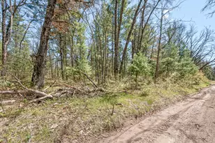 00 Bradby Blvd, Baldwin, MI 49304 - Photo 1