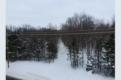 55901 Colby Street, Dowagiac, MI 49047 - Photo 11