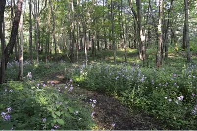 2528 Vanderbilt Avenue, Portage, MI 49024 - Photo 9