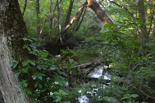 2528 Vanderbilt Ave, Portage, MI 49024 - Photo 35