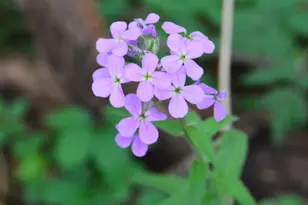 2528 Vanderbilt Ave, Portage, MI 49024 - Photo 33