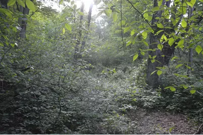 2528 Vanderbilt Avenue, Portage, MI 49024 - Photo 5