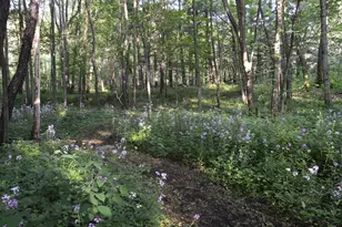 2528 Vanderbilt Ave, Portage, MI 49024 - Photo 57