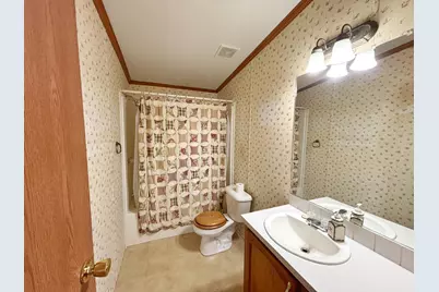 2598 Wildcat Road, Saint Johns, MI 48879 - Photo 9