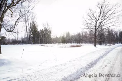 6040 N Hillman Road, Six Lakes, MI 48886 - Photo 31