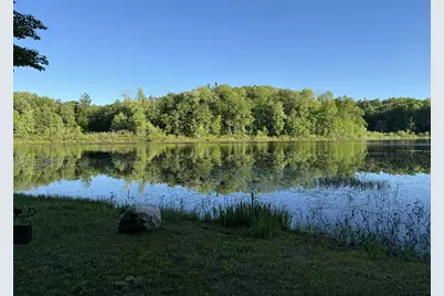 Vl E Woodlawn Avenue, Newaygo, MI 49337 - Photo 1