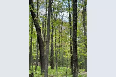8047 W 10 1/2 Mile Road, Irons, MI 49644 - Photo 9