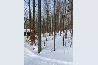 10140 Alpine Drive, Reed City, MI 49677 - Photo 15