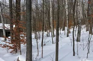 10140 Alpine Dr, Reed City, MI 49677 - Photo 15