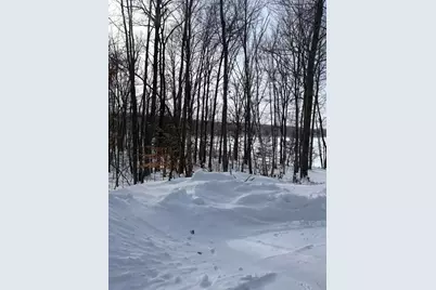 10140 Alpine Drive, Reed City, MI 49677 - Photo 17