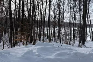 10140 Alpine Dr, Reed City, MI 49677 - Photo 17