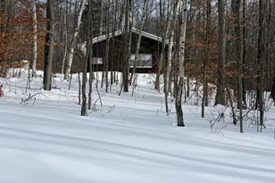 10140 Alpine Dr, Reed City, MI 49677 - Photo 19