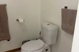 10140 Alpine Dr, Reed City, MI 49677 - Photo 49