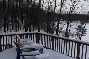 10140 Alpine Dr, Reed City, MI 49677 - Photo 51