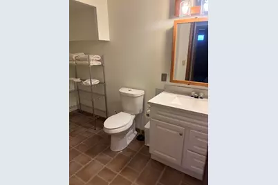 10140 Alpine Drive, Reed City, MI 49677 - Photo 59