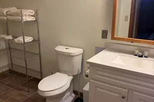 10140 Alpine Dr, Reed City, MI 49677 - Photo 59