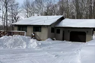 10140 Alpine Dr, Reed City, MI 49677 - Photo 13