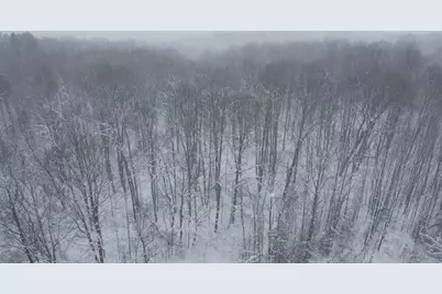 8903 Maidens Road, Bear Lake, MI 49614 - Photo 19