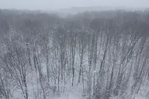 8903 Maidens Rd, Bear Lake, MI 49614 - Photo 19