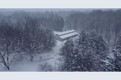 8903 Maidens Road, Bear Lake, MI 49614 - Photo 17