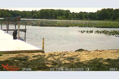 12535 Bair Lake Street, Jones, MI 49061 - Photo 5