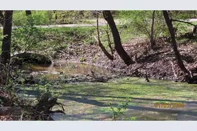 V / L Redfield, Edwardsburg, MI 49112 - Photo 5