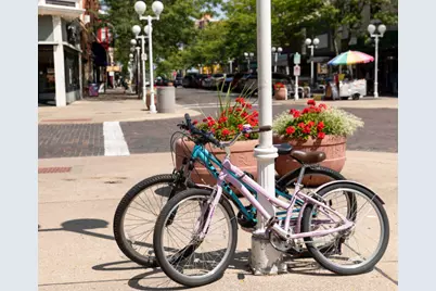 553 N Cygnet Lake Drive, Benton Harbor, MI 49022 - Photo 43