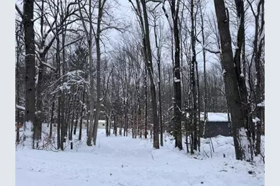 7808 E 48th Street, Chase, MI 49623 - Photo 13