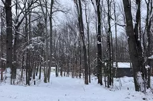 7808 E 48th St, Chase, MI 49623 - Photo 13