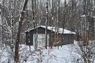 7808 E 48th St, Chase, MI 49623 - Photo 3