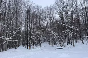 7808 E 48th St, Chase, MI 49623 - Photo 9