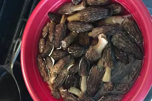 7808 E 48th St, Chase, MI 49623 - Photo 21