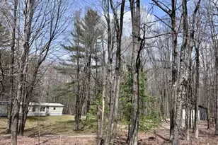 7808 E 48th St, Chase, MI 49623 - Photo 17