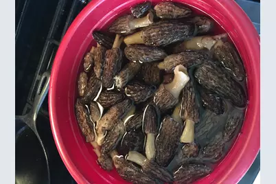 7808 E 48th Street, Chase, MI 49623 - Photo 19