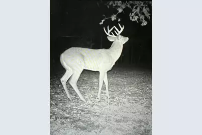 7808 E 48th Street, Chase, MI 49623 - Photo 15