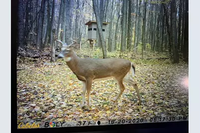 7808 E 48th Street, Chase, MI 49623 - Photo 23