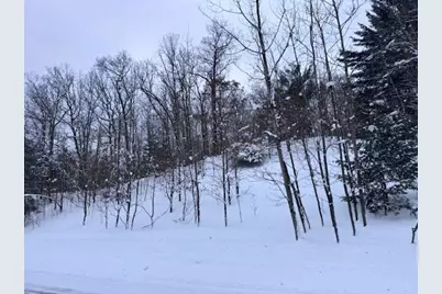 Frank Smith Rd, Chase, MI 49623 - Photo 3