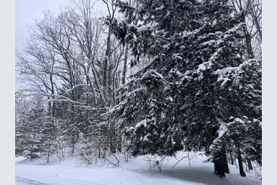 Frank Smith Rd, Chase, MI 49623 - Photo 1