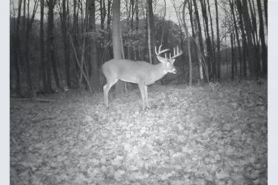 V/L 125th Avenue, Stanwood, MI 49346 - Photo 9