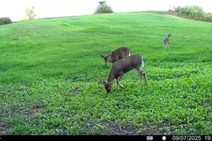 2067 11 Mile Rd, Remus, MI 49340 - Photo 51