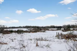 2067 11 Mile Rd, Remus, MI 49340 - Photo 57