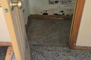 10537 W Rosted Rd, Lake City, MI 49651 - Photo 21