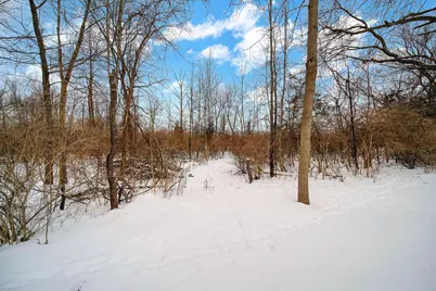 809 Missouri River Drive, Adrian, MI 49221 - Photo 27